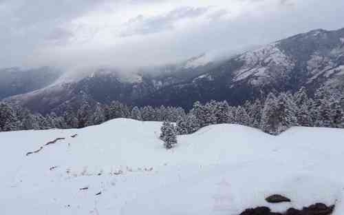 Parashar Valley Snowfall Season Jan Feb