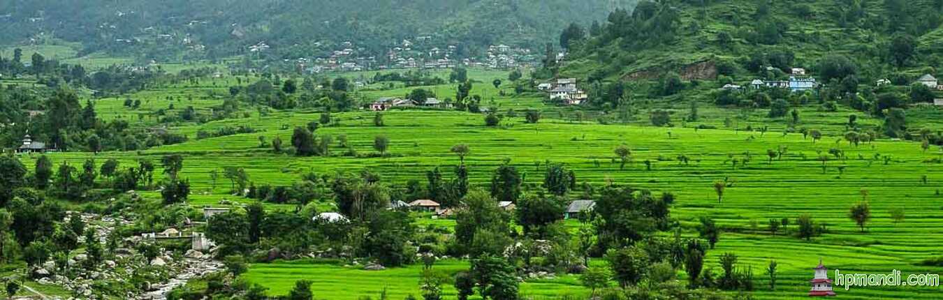 Karsog-Valley-Mandi-District-Himachal-Pradesh